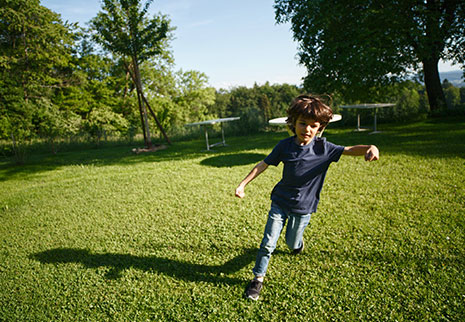 TENY Herbe Introduction