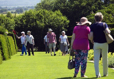 À propos de TENY Grass